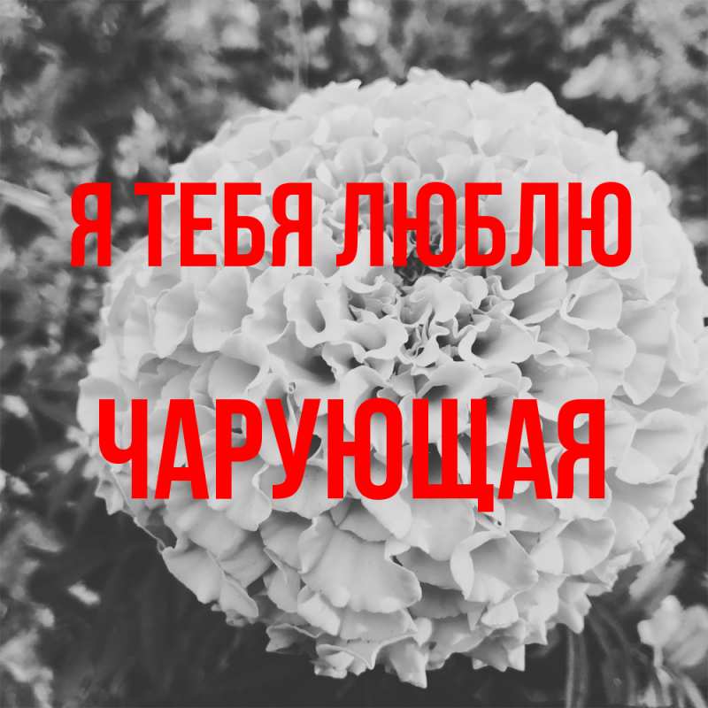 Картинка Я тебя люблю, Чаpующая