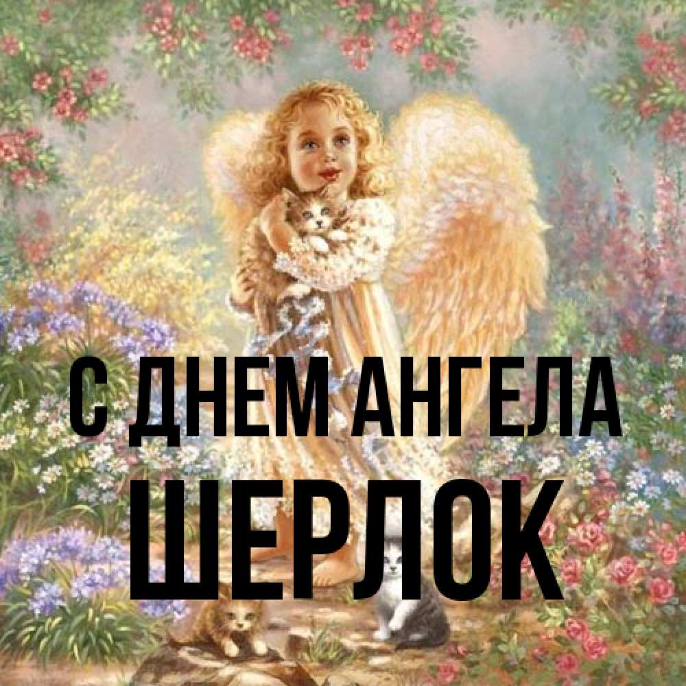 Открытка на каждый день с именем, Шерлок С днем ангела держит котенка Прикольная открытка с пожеланием онлайн скачать бесплатно 