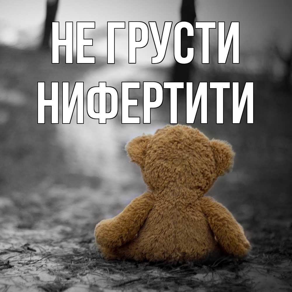 Открытка на каждый день с именем, Нифертити Не грусти медведь со спин Прикольная открытка с пожеланием онлайн скачать бесплатно 