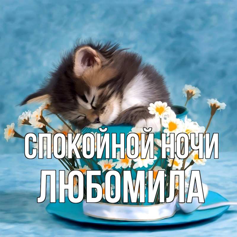 Картинка Спокойной ночи, Любомила