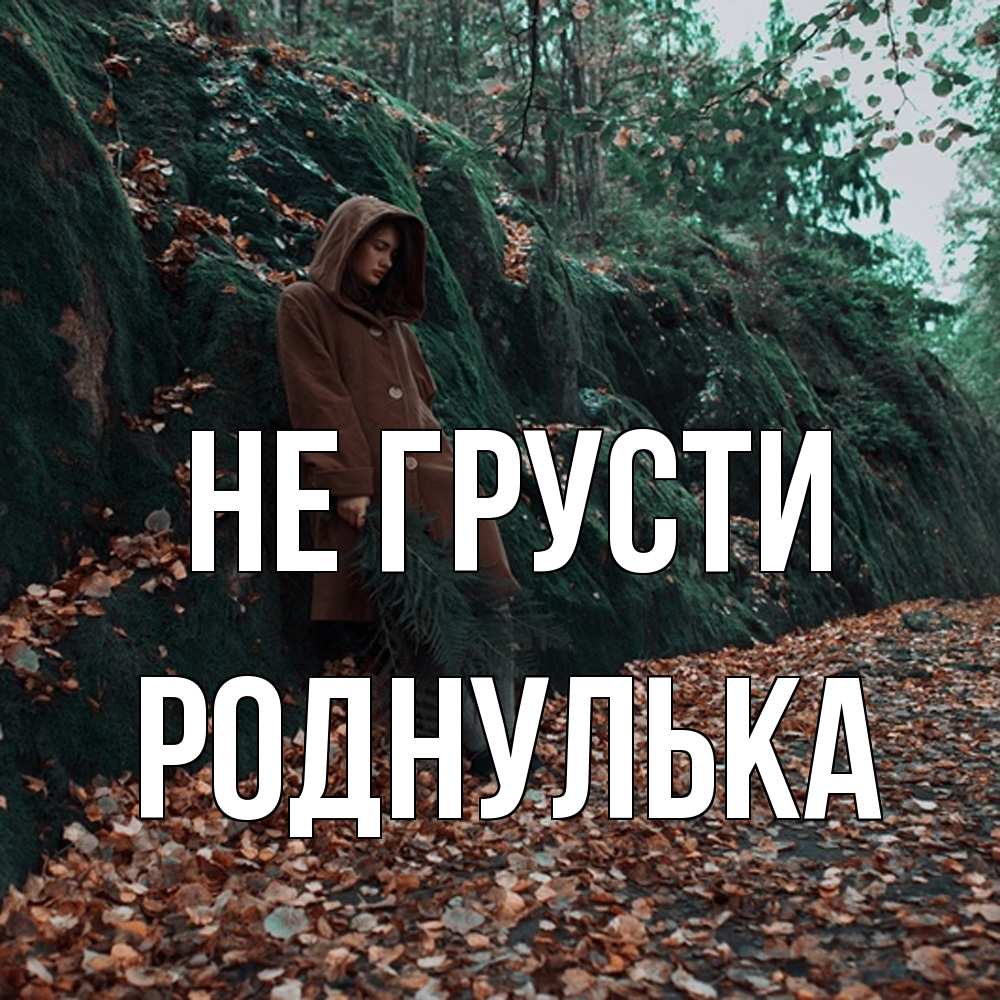 Открытка на каждый день с именем, Роднулька Не грусти осенний лес Прикольная открытка с пожеланием онлайн скачать бесплатно 