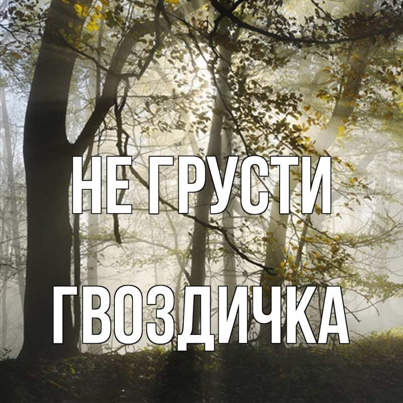 Картинка Не грусти, Гвоздичка