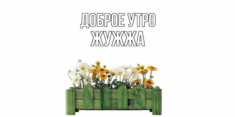 Картинка Доброе утро, Жужжа