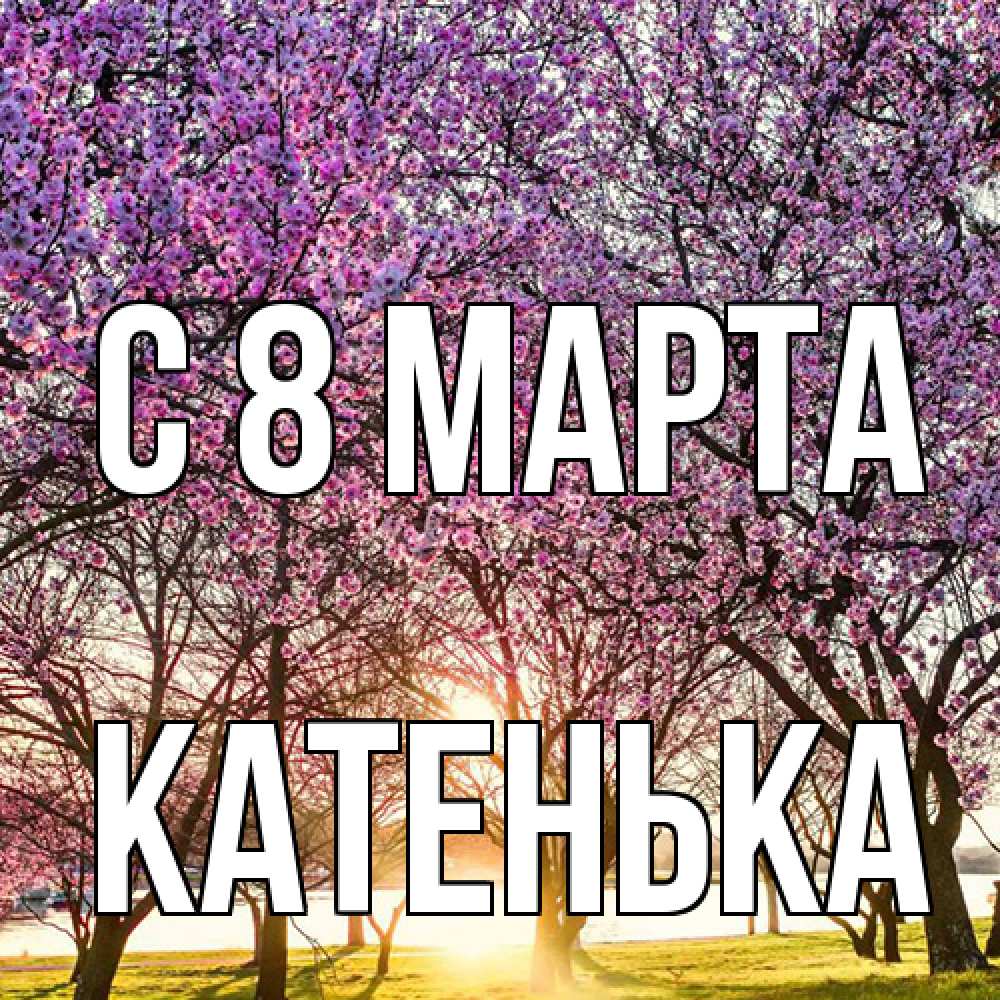 Открытка на каждый день с именем, Катенька C 8 МАРТА международный женский день Прикольная открытка с пожеланием онлайн скачать бесплатно 