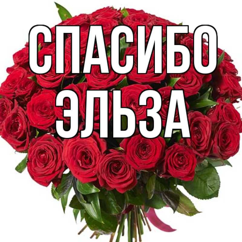 Картинка Спасибо, Эльза