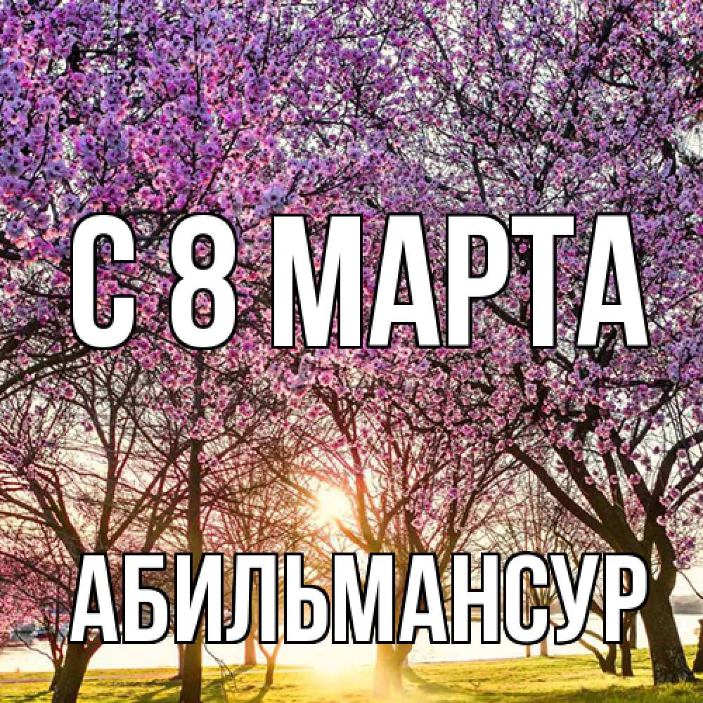 Открытка на каждый день с именем, Абильмансур C 8 МАРТА международный женский день Прикольная открытка с пожеланием онлайн скачать бесплатно 