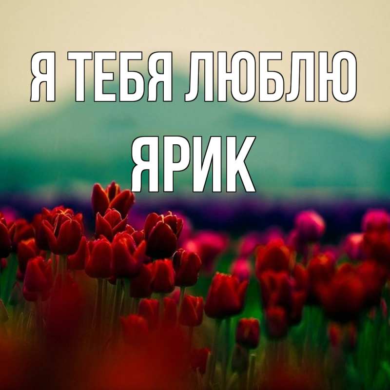 Картинка Я тебя люблю, Ярик