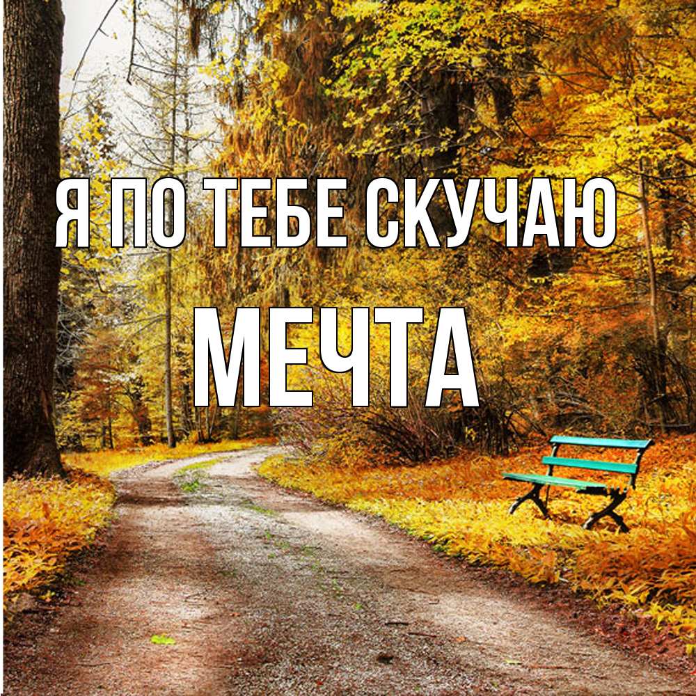 Открытка на каждый день с именем, мечта Я по тебе скучаю зеленая лавочка и осенний лес Прикольная открытка с пожеланием онлайн скачать бесплатно 