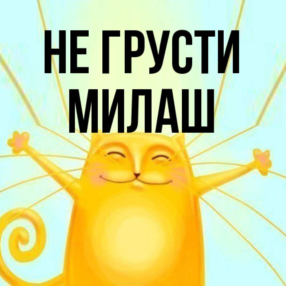 Открытка на каждый день с именем, Милаш Не грусти обнимашки усатые Прикольная открытка с пожеланием онлайн скачать бесплатно 