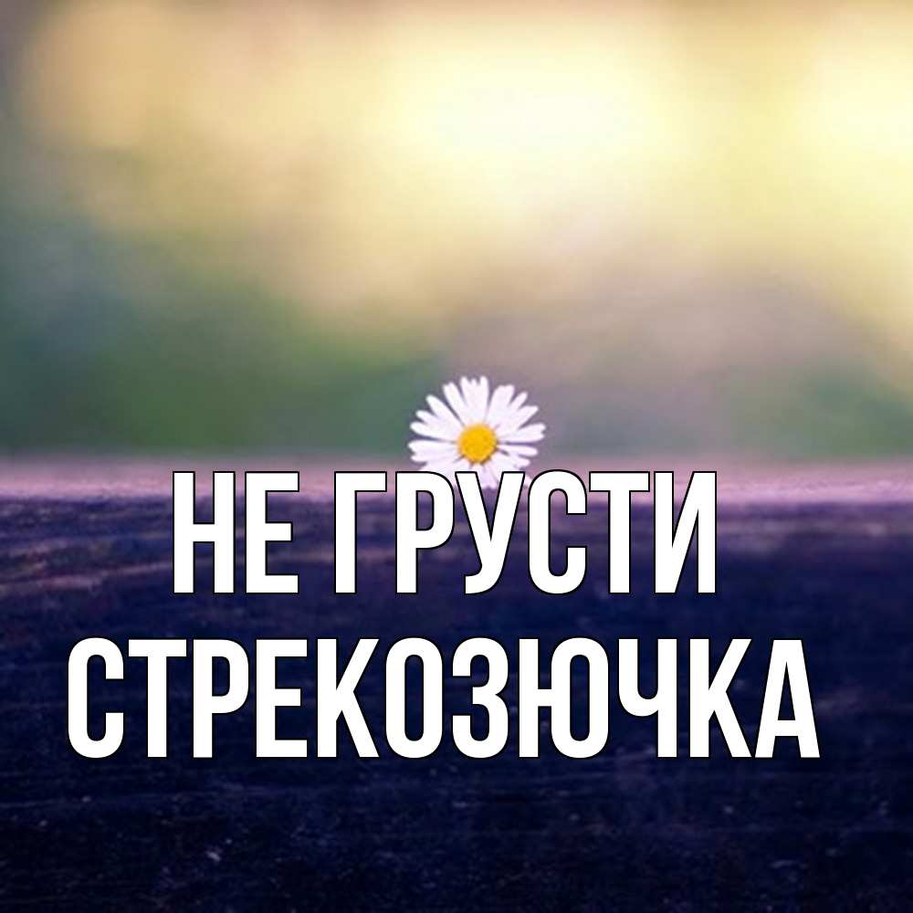 Открытка на каждый день с именем, Стрекозючка Не грусти красота Прикольная открытка с пожеланием онлайн скачать бесплатно 