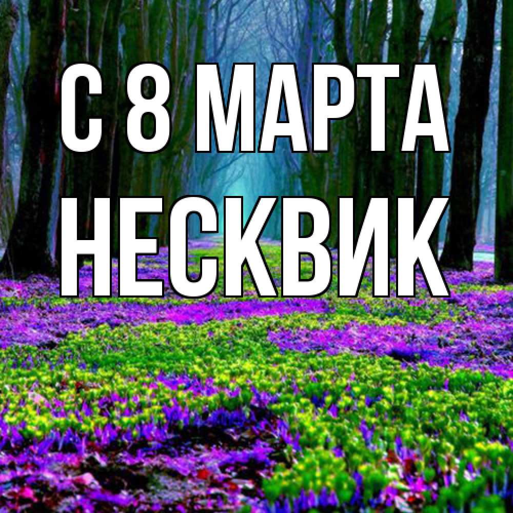 Открытка на каждый день с именем, Несквик C 8 МАРТА фиолетовые цветы в лесу 1 Прикольная открытка с пожеланием онлайн скачать бесплатно 