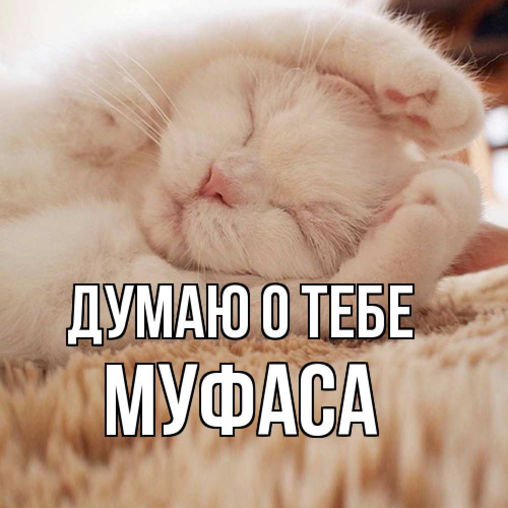 Открытка на каждый день с именем, Муфаса Думаю о тебе для любимой девушки милота Прикольная открытка с пожеланием онлайн скачать бесплатно 