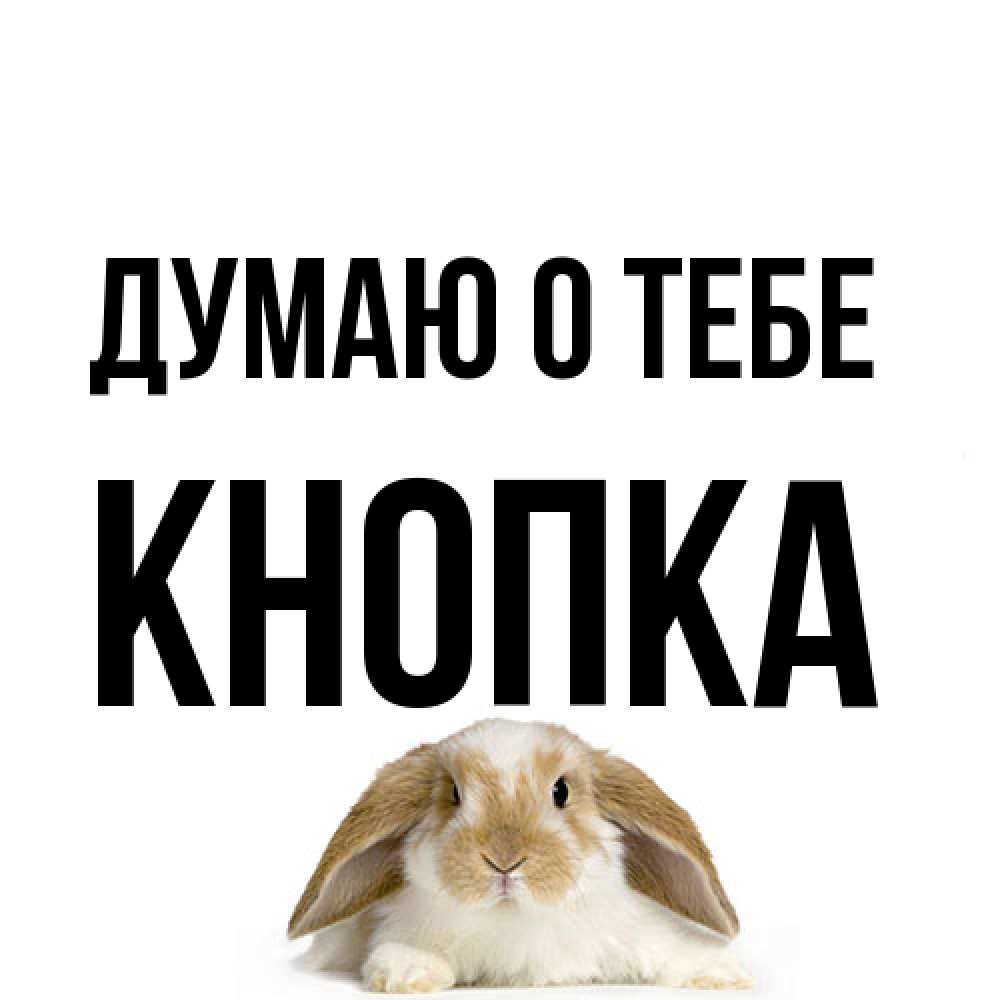 Открытка на каждый день с именем, Кнопка Думаю о тебе подписать своими руками онлайн Прикольная открытка с пожеланием онлайн скачать бесплатно 