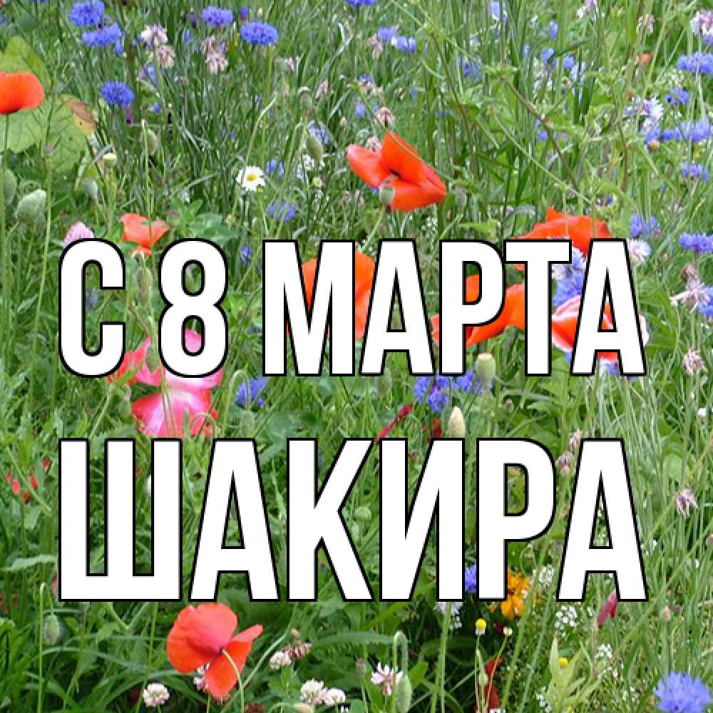 Открытка на каждый день с именем, Шакира C 8 МАРТА международный женский день 4 Прикольная открытка с пожеланием онлайн скачать бесплатно 