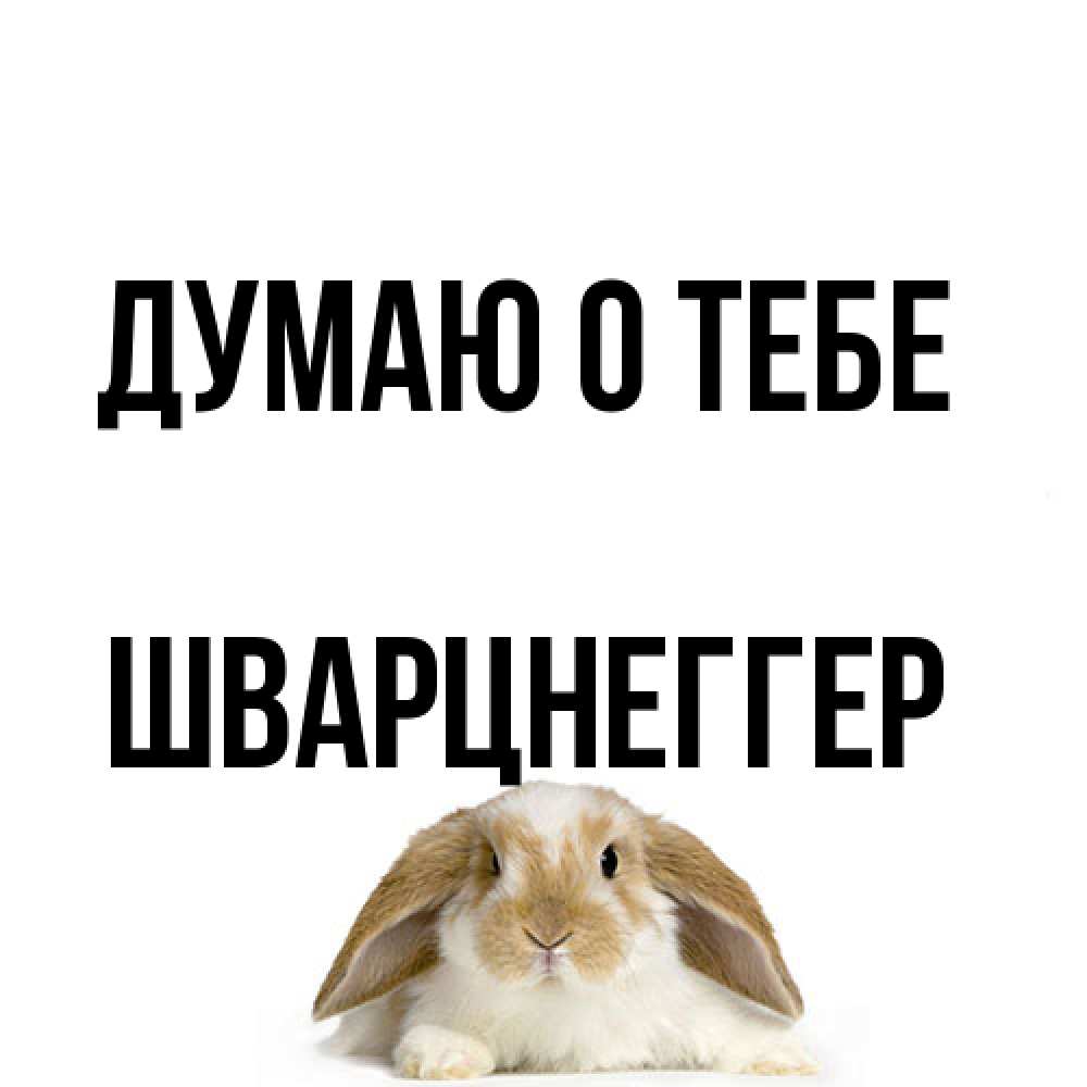 Открытка на каждый день с именем, Шварцнеггер Думаю о тебе подписать своими руками онлайн Прикольная открытка с пожеланием онлайн скачать бесплатно 