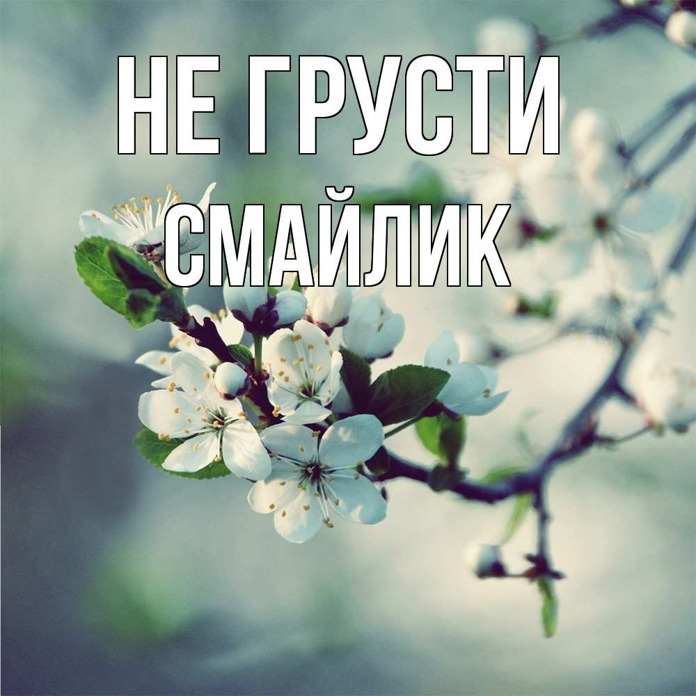 Открытка на каждый день с именем, Смайлик Не грусти яблоня в цвету 1 Прикольная открытка с пожеланием онлайн скачать бесплатно 