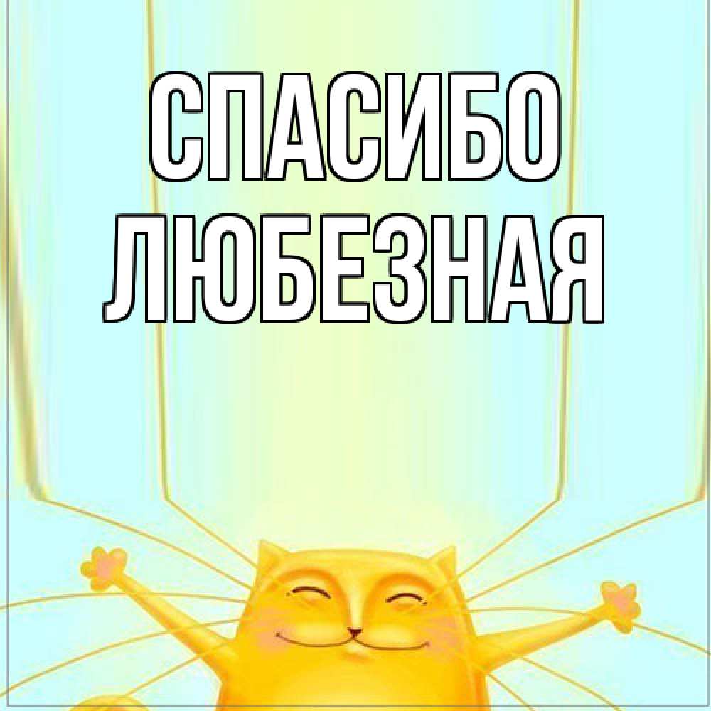 Открытка на каждый день с именем, любезная Спасибо кот с усами благодарит Прикольная открытка с пожеланием онлайн скачать бесплатно 