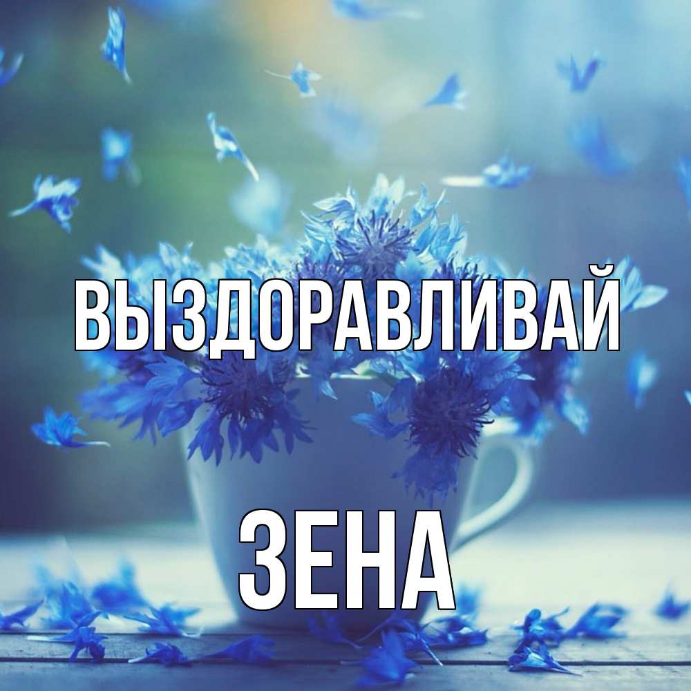 Открытка на каждый день с именем, Зена Выздоравливай кружка с зельем и цветами Прикольная открытка с пожеланием онлайн скачать бесплатно 
