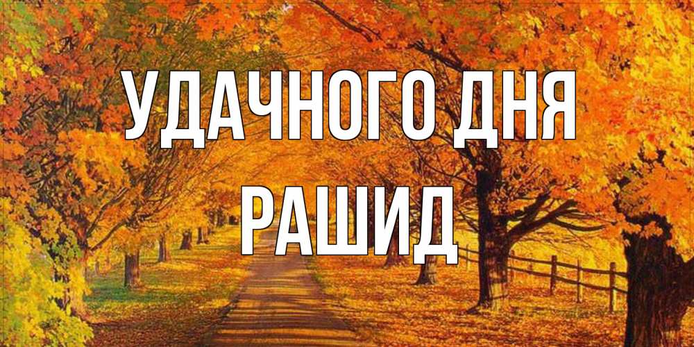 Открытка на каждый день с именем, Рашид Удачного дня деревья с осенними листьями Прикольная открытка с пожеланием онлайн скачать бесплатно 