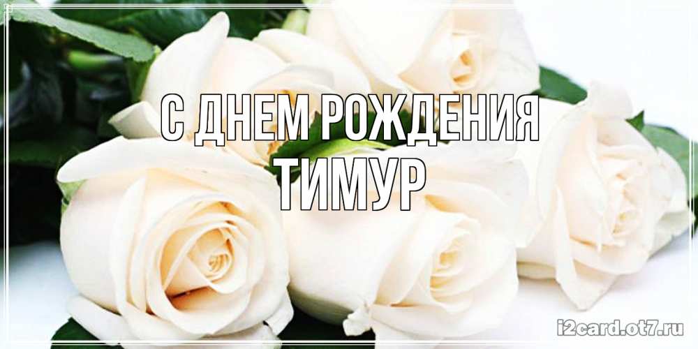 Открытка на каждый день с именем, Тимур С днем рождения открытка с красивыми белыми розами для родных Прикольная открытка с пожеланием онлайн скачать бесплатно 