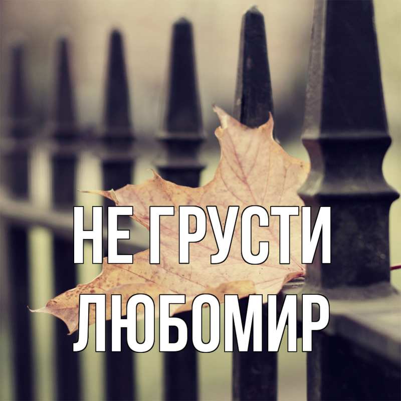 Картинка Не грусти, Любомир