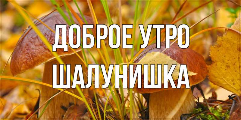Картинка Доброе утро, шалунишка