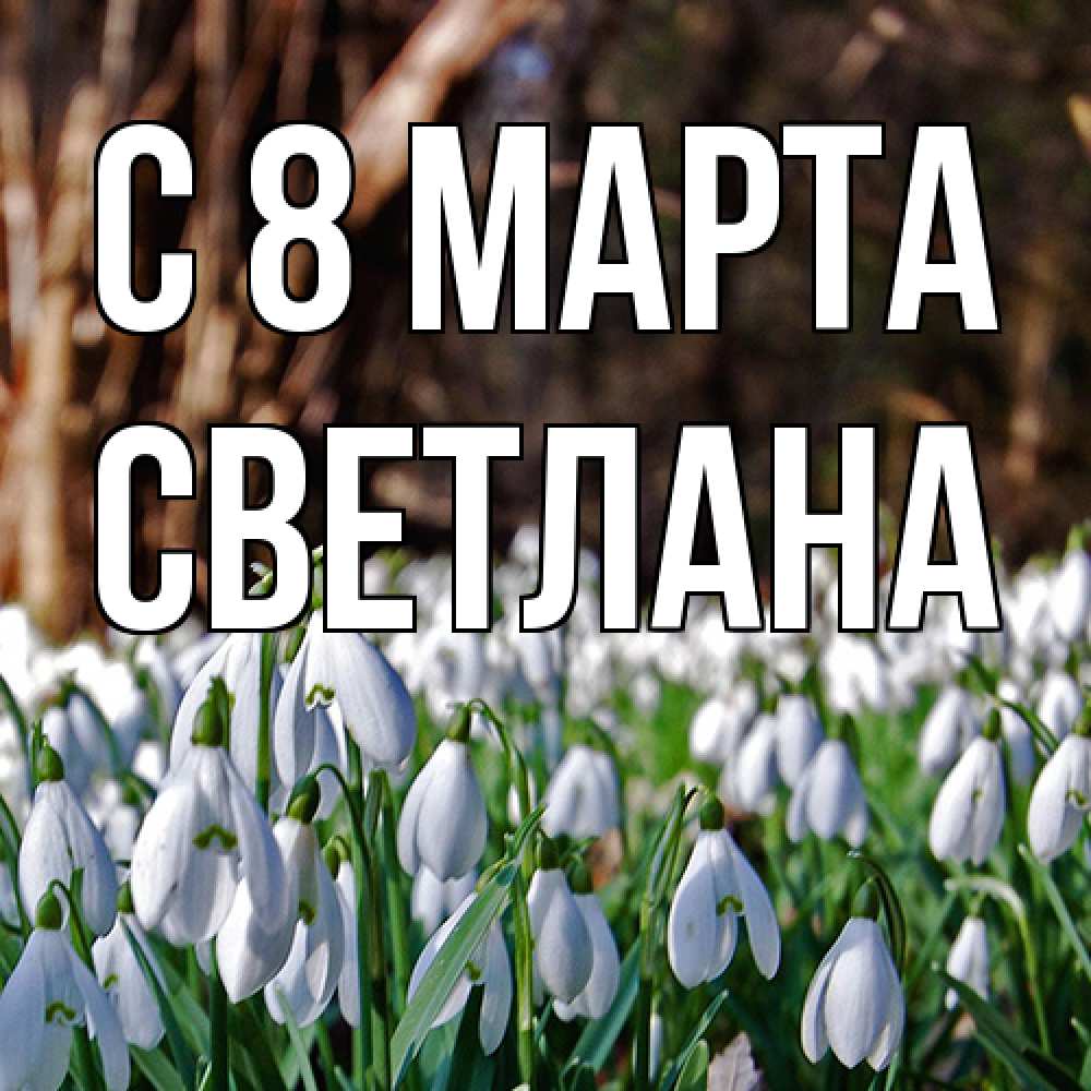 Открытка на каждый день с именем, Светлана C 8 МАРТА с подснежниками 1 Прикольная открытка с пожеланием онлайн скачать бесплатно 