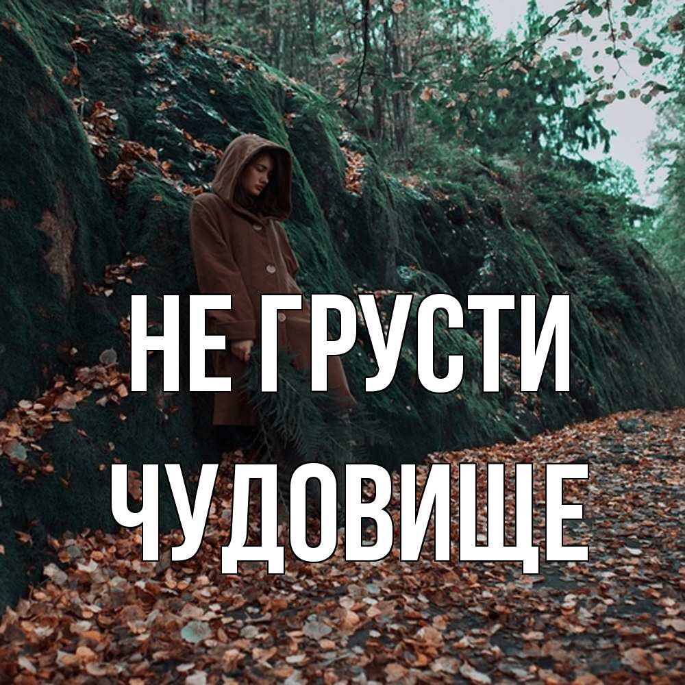 Открытка на каждый день с именем, Чудовище Не грусти осенний лес Прикольная открытка с пожеланием онлайн скачать бесплатно 