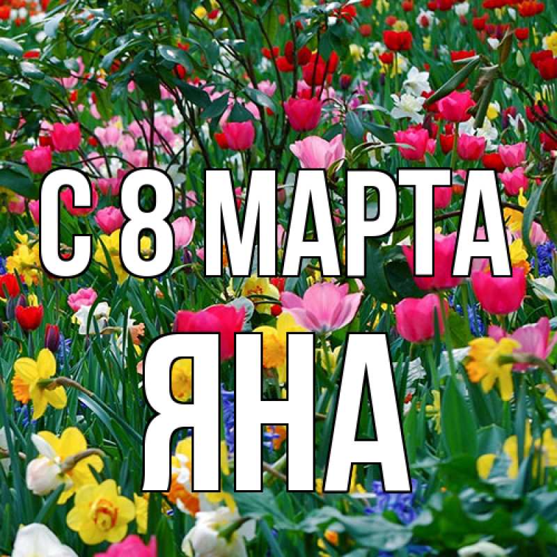 Картинка C 8 МАРТА, Яна