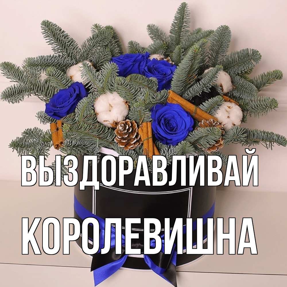 Открытка на каждый день с именем, Королевишна Выздоравливай короче кто то загрузил эти шишки Прикольная открытка с пожеланием онлайн скачать бесплатно 