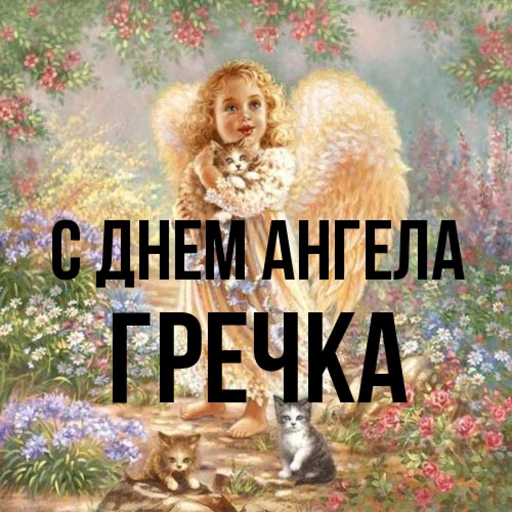 Открытка на каждый день с именем, Гречка С днем ангела держит котенка Прикольная открытка с пожеланием онлайн скачать бесплатно 