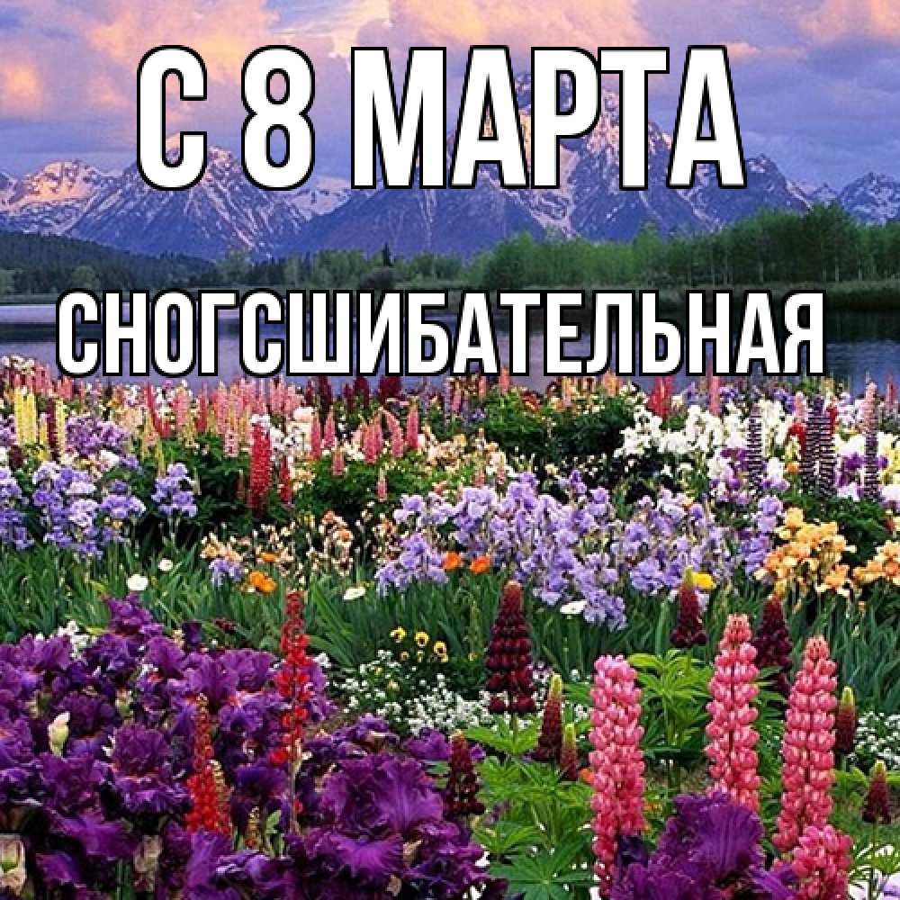 Открытка на каждый день с именем, сногсшибательная C 8 МАРТА международный женский день Прикольная открытка с пожеланием онлайн скачать бесплатно 