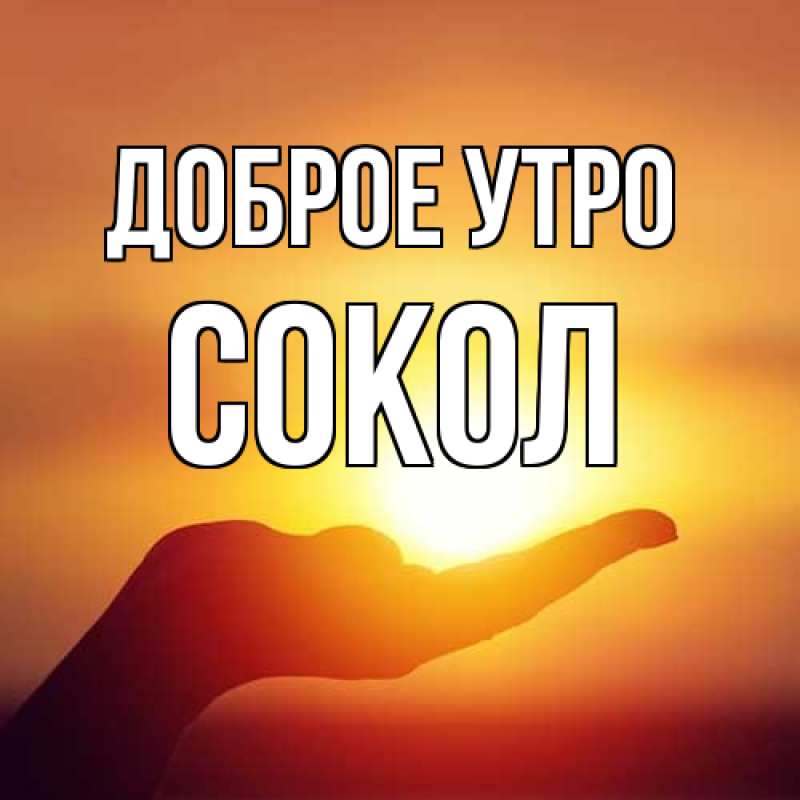 Картинка Доброе утро, Сокол