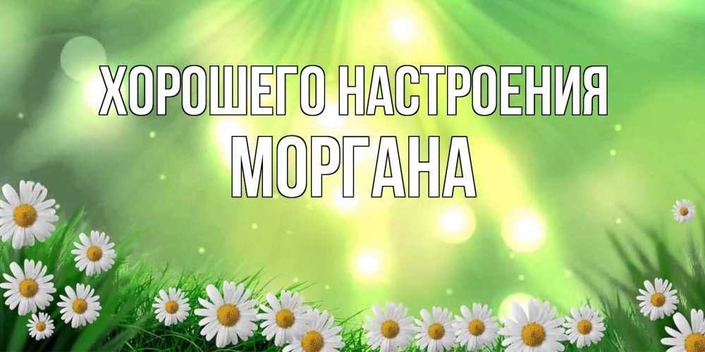 Открытка на каждый день с именем, Моргана Хорошего настроения открытка с ромашками и солнечными лучами Прикольная открытка с пожеланием онлайн скачать бесплатно 