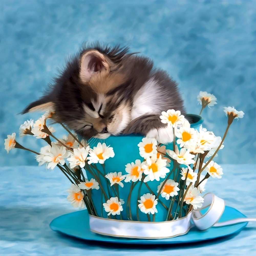 Открытка на каждый день с именем, Котик Спокойной ночи котенок спит в кружке с блюдцем Прикольная открытка с пожеланием онлайн скачать бесплатно 