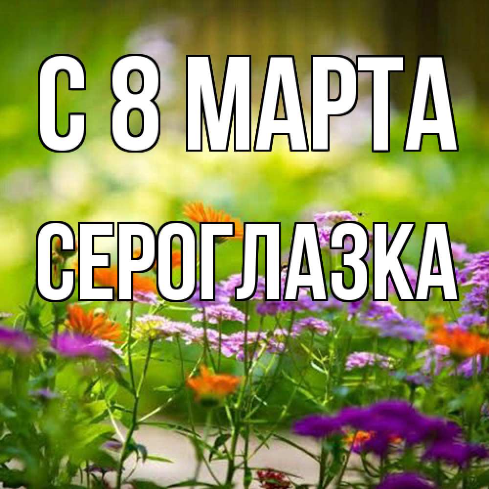 Открытка на каждый день с именем, сероглазка C 8 МАРТА цветы Прикольная открытка с пожеланием онлайн скачать бесплатно 