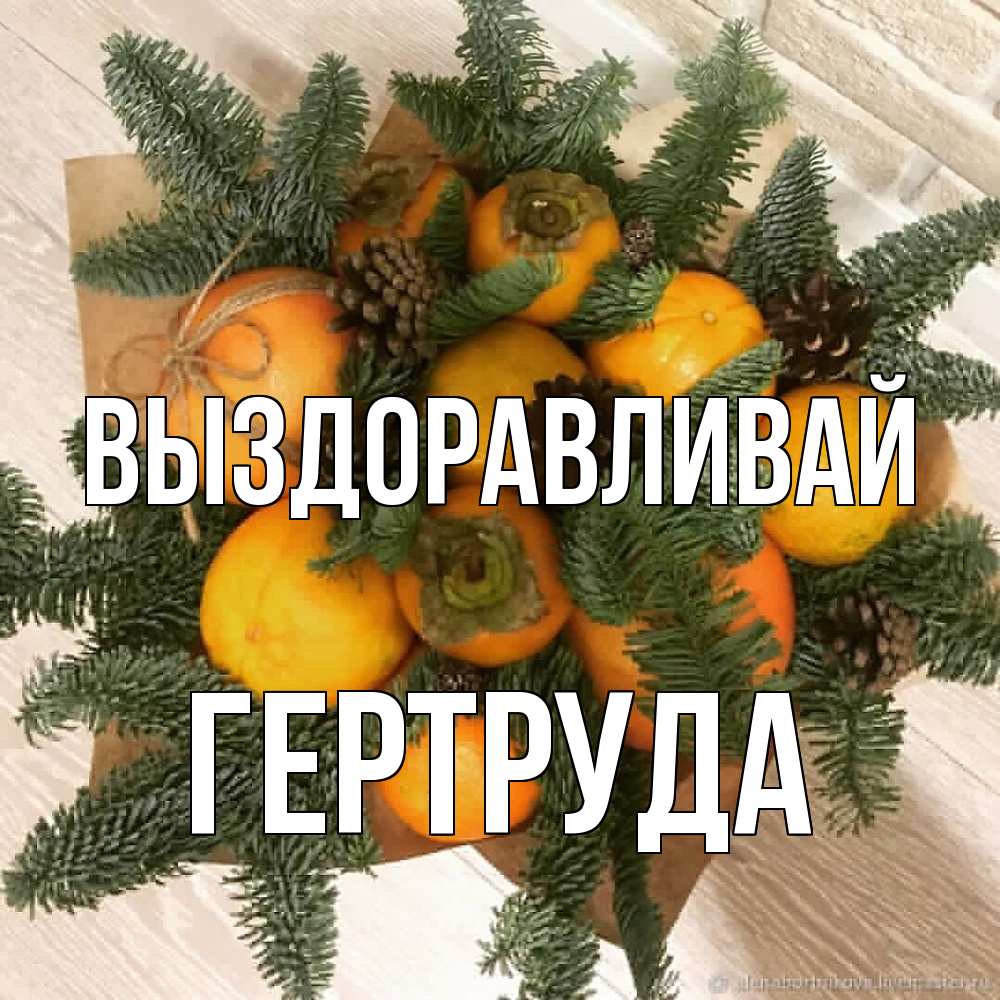 Открытка на каждый день с именем, Гертруда Выздоравливай апельсины и хурьма Прикольная открытка с пожеланием онлайн скачать бесплатно 