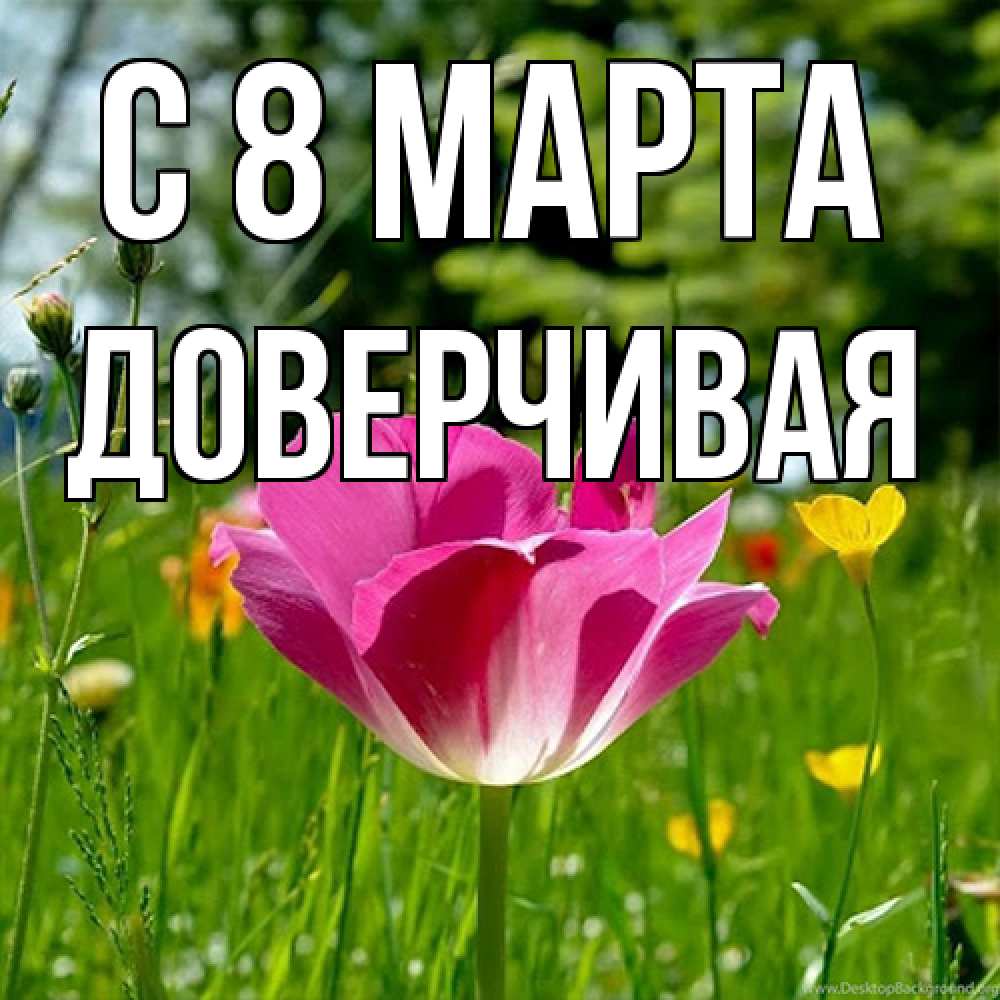 Открытка на каждый день с именем, Доверчивая C 8 МАРТА полевые цветы Прикольная открытка с пожеланием онлайн скачать бесплатно 