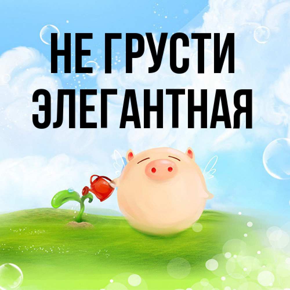 Открытка на каждый день с именем, элегантная Не грусти поливает цветок порося Прикольная открытка с пожеланием онлайн скачать бесплатно 