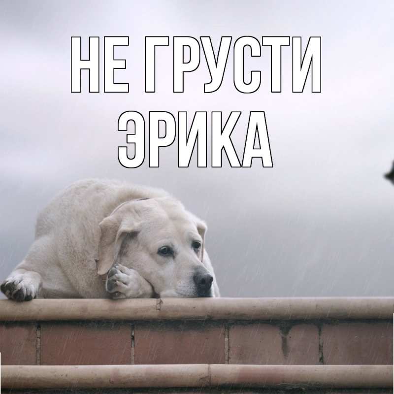 Картинка Не грусти, Эрика
