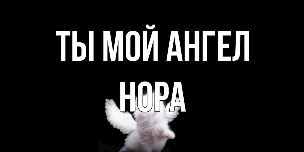 Открытка на каждый день с именем, Нора Ты мой ангел Кот ангел Прикольная открытка с пожеланием онлайн скачать бесплатно 