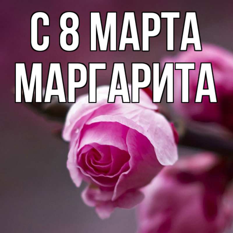 Картинка C 8 МАРТА, Маргарита