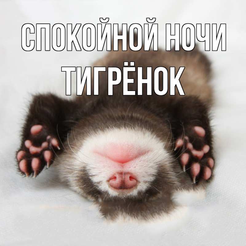 Картинка Спокойной ночи, Тигрёнок