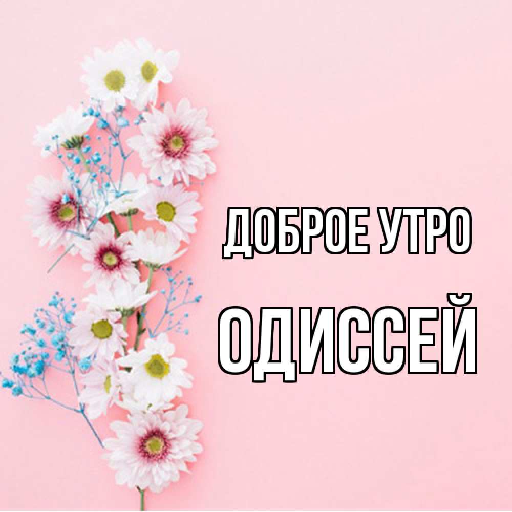 Открытка на каждый день с именем, Одиссей Доброе утро цветы с подписью Прикольная открытка с пожеланием онлайн скачать бесплатно 