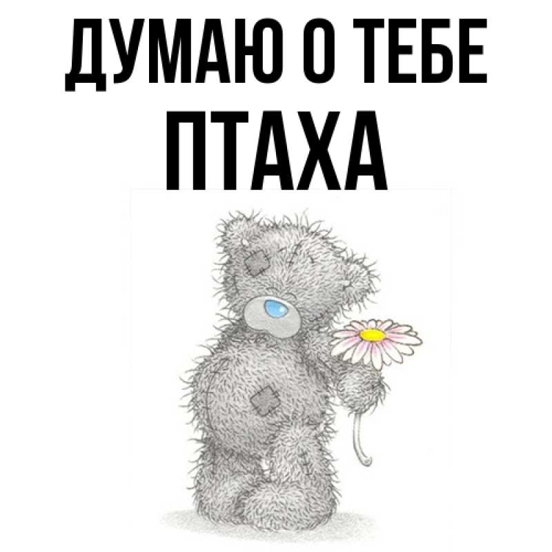 Картинка Думаю о тебе, Птаха
