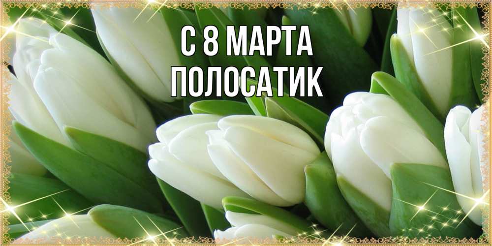 Открытка на каждый день с именем, полосатик C 8 МАРТА поздравляем с 8 марта Прикольная открытка с пожеланием онлайн скачать бесплатно 