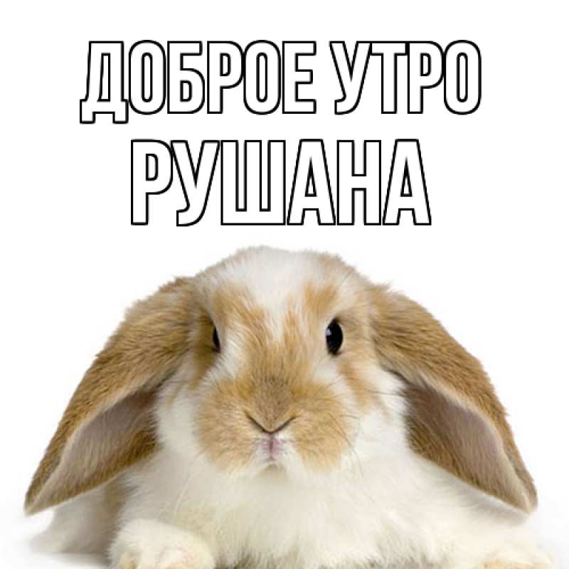 Картинка Доброе утро, Рушана