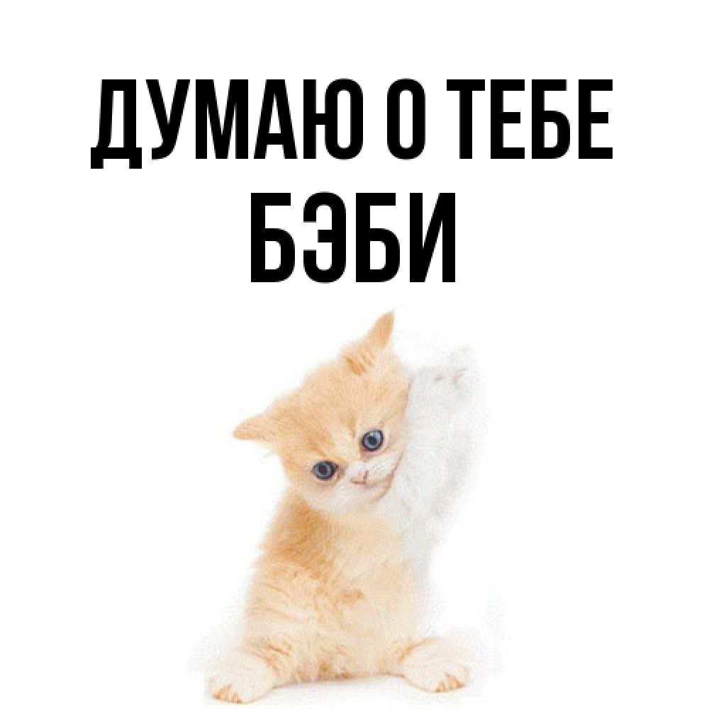 Открытка на каждый день с именем, Бэби Думаю о тебе зверушки и милота Прикольная открытка с пожеланием онлайн скачать бесплатно 