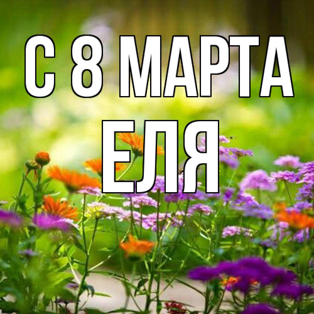Открытка на каждый день с именем, Еля C 8 МАРТА цветы Прикольная открытка с пожеланием онлайн скачать бесплатно 