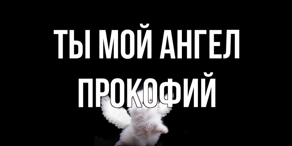 Открытка на каждый день с именем, Прокофий Ты мой ангел Кот ангел Прикольная открытка с пожеланием онлайн скачать бесплатно 